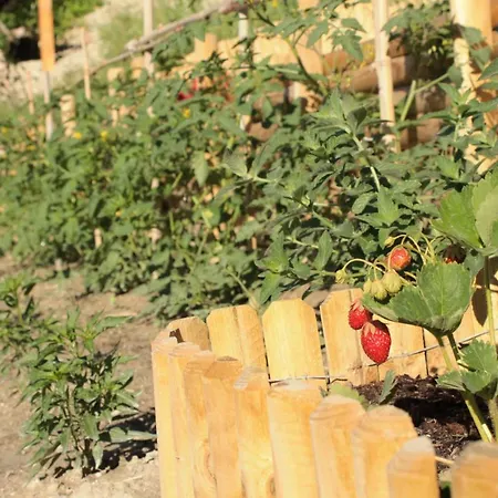 Boscobo - Relax & Natura Apartman