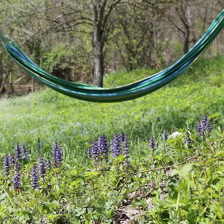 Boscobo - Relax & Natura Apartman Bologna