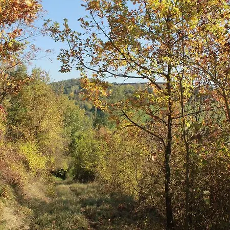 Boscobo - Relax & Natura Appartement *