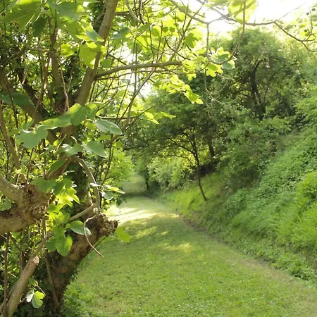 Boscobo - Relax & Natura Appartement