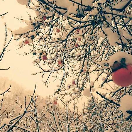 Boscobo - Relax & Natura アパート