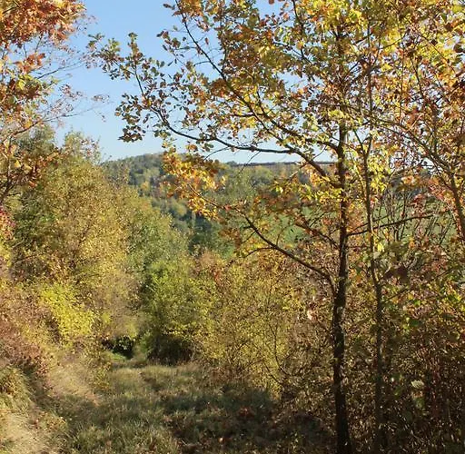 Boscobo - Relax & Natura Lägenhet *