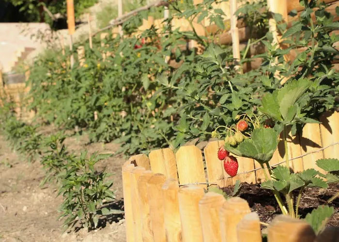 Boscobo - Relax & Natura شقة