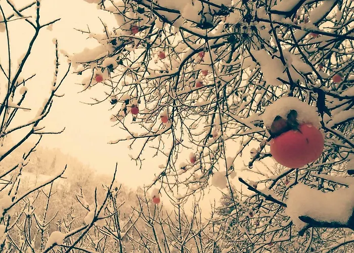 Boscobo - Relax & Natura شقة