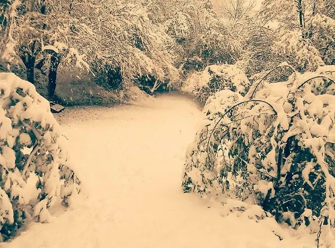 Boscobo - Relax & Natura شقة بولونيا