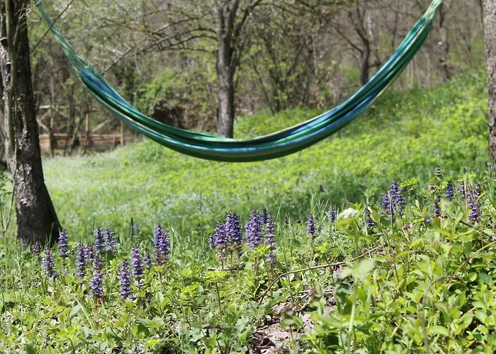 Boscobo - Relax & Natura شقة بولونيا