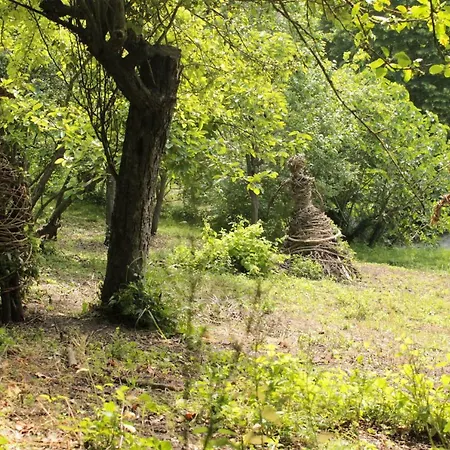 Boscobo - Relax & Natura Apartamento Bolonha