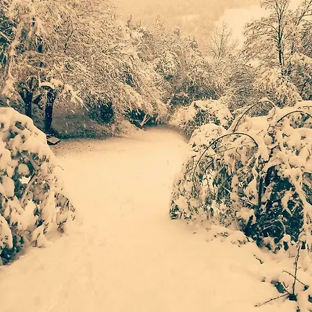 Boscobo - Relax & Natura Apartament Bolonia